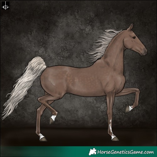 Horse Color:Silver Black 