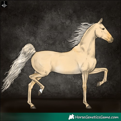 Horse Color:Palomino Dun 