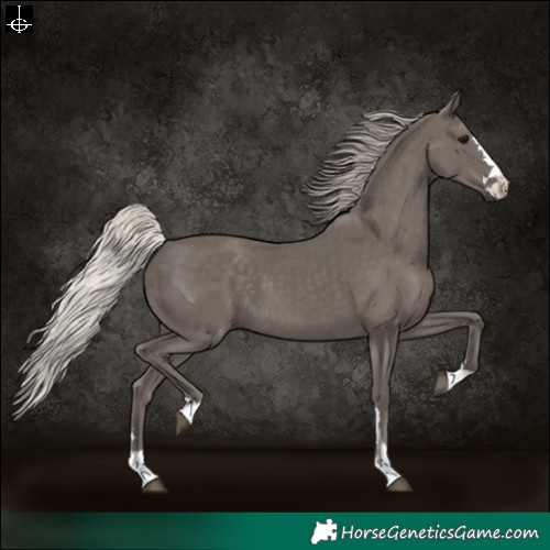 Horse Color:Silver Black 