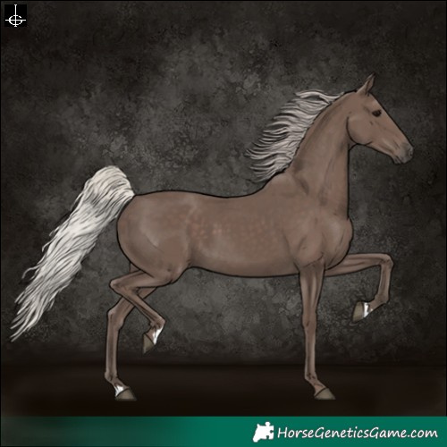 Horse Color:Silver Black 
