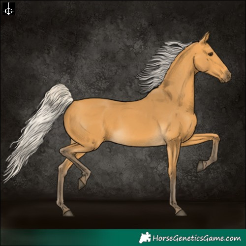 Horse Color:Silver Buckskin 