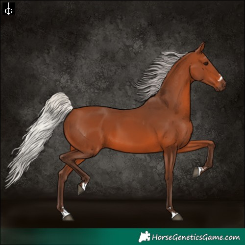 Horse Color:Silver Brown 