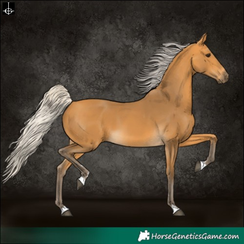 Horse Color:Silver Buckskin 