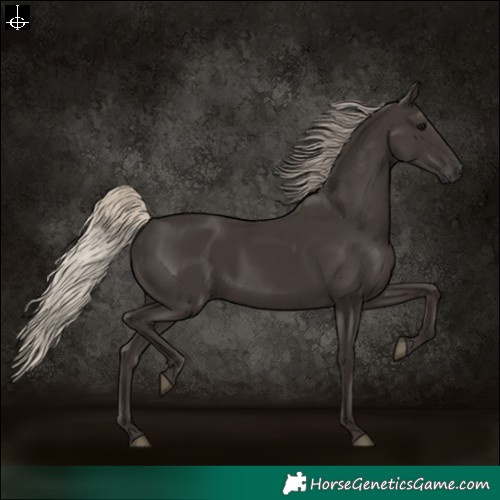 Horse Color:Gray Silver Black 