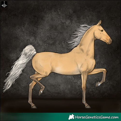 Horse Color:Silver Buckskin Dun 