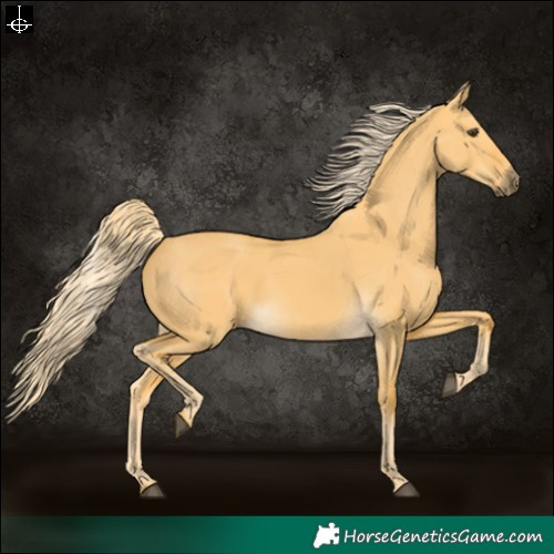Horse Color:Palomino Dun 