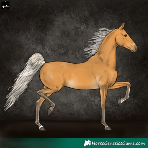 Horse Color:Silver Buckskin 