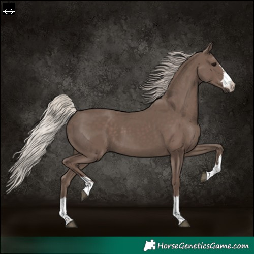Horse Color:Silver Black 