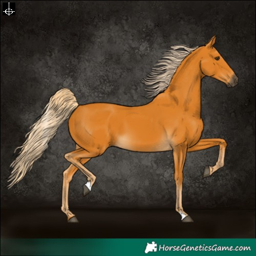 Horse Color:Gray Palomino 