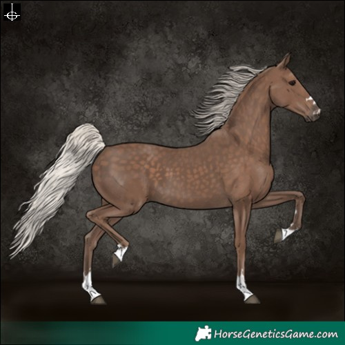 Horse Color:Silver Black 