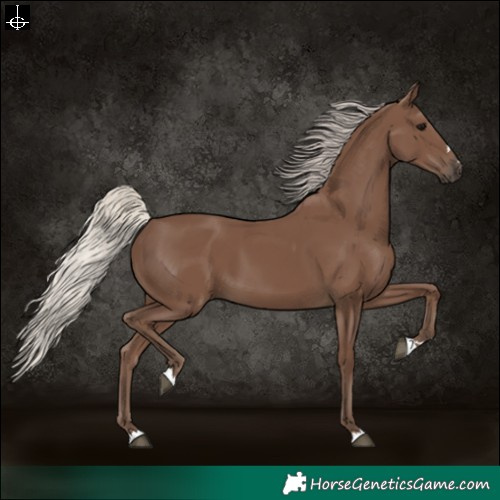 Horse Color:Silver Black 