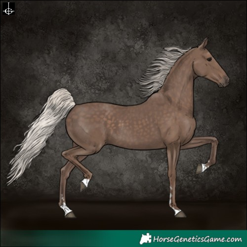 Horse Color:Silver Black 
