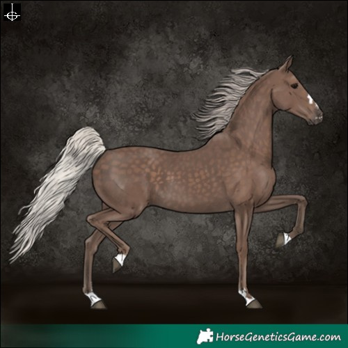 Horse Color:Silver Black 