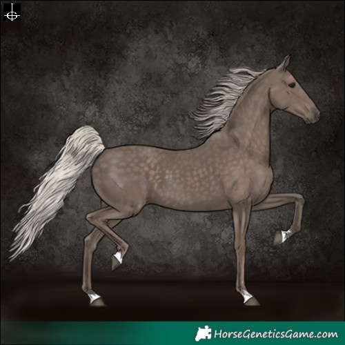Horse Color:Silver Black 