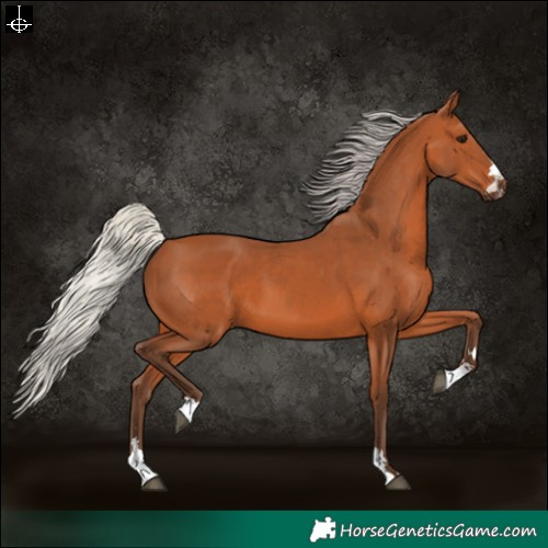 Horse Color:Silver Bay 