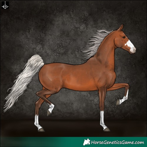 Horse Color:Silver Brown 