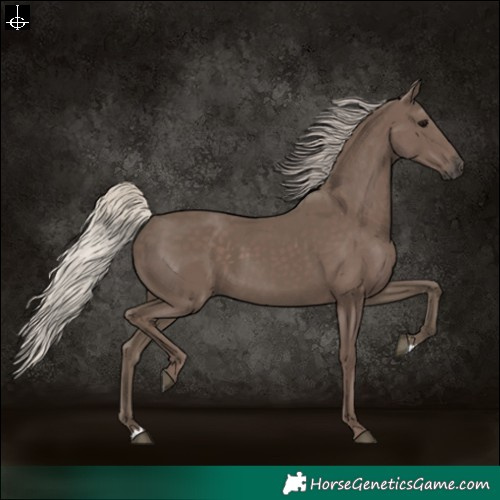Horse Color:Silver Black 
