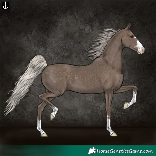 Horse Color:Silver Black 