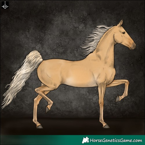 Horse Color:Palomino Dun 