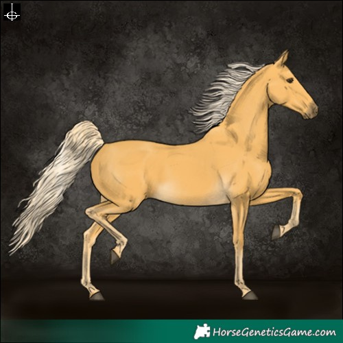 Horse Color:Palomino 