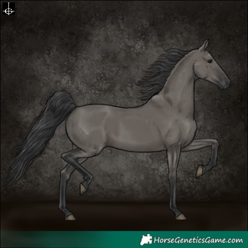 Horse Color:Grullo Rabicano 