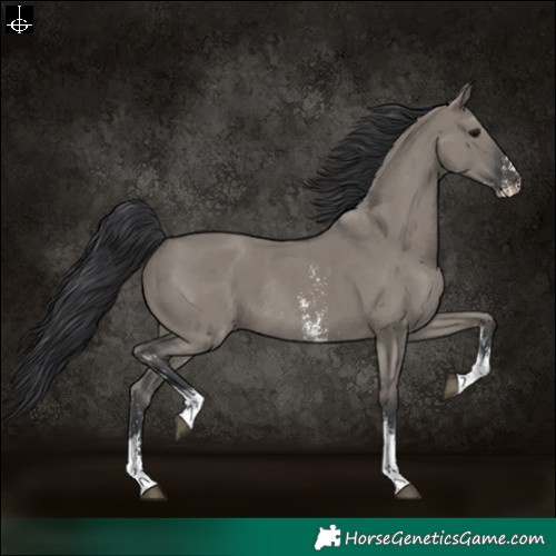 Horse Color:Grullo Sabino Rabicano 