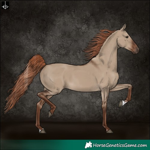 Horse Color:Liver Red Dun Rabicano 