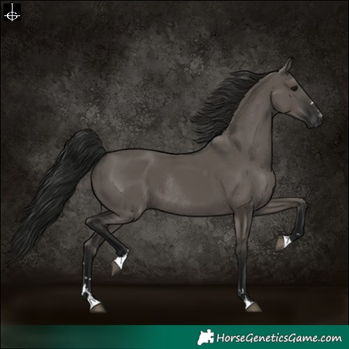 Horse Color:Gray Grullo Rabicano 