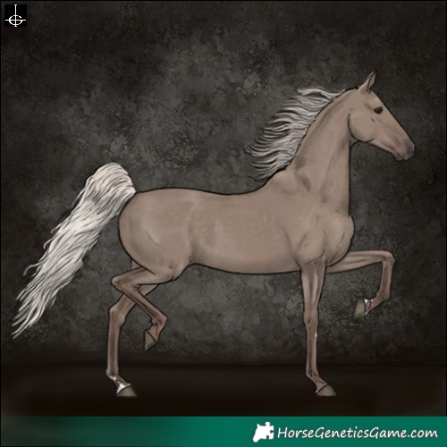 Horse Color:Silver Grullo 