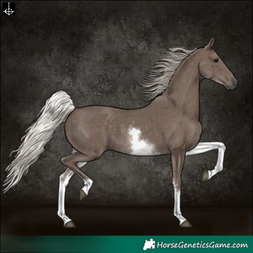 Horse Color:White Spotted Silver Black 