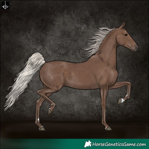 Horse Color:Silver Black 