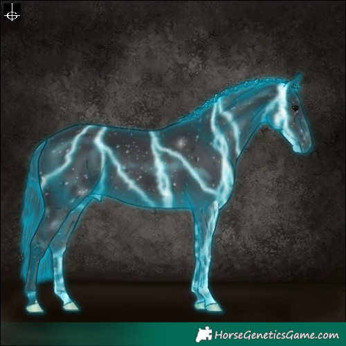 Horse Color:Thunderstruck Black 