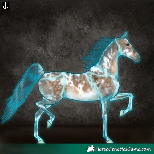Horse Color:Thunderstruck White Spotted Brown Ice Dun 