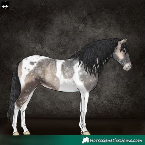 Horse Color:Blue Onyx Ice Tobiano 