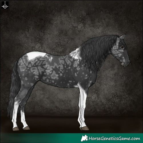 Horse Color:Black Ice Tobiano 