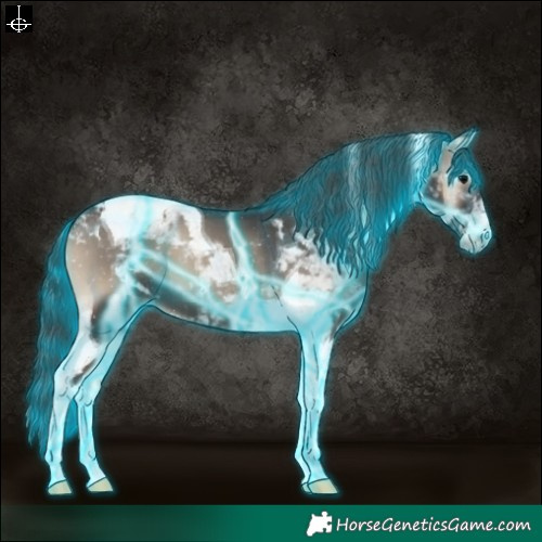 Horse Color:Thunderstruck Blue Onyx Tobiano 