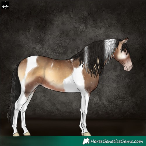 Horse Color:Gray Sable Champagne Onyx Tobiano 