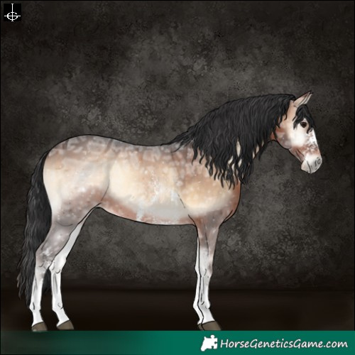 Horse Color:Brown Ice Onyx Sabino 