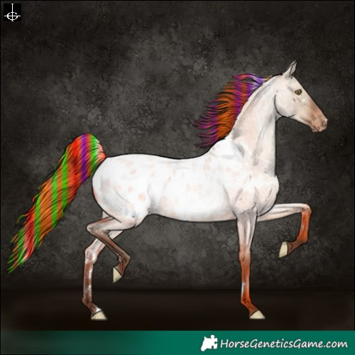Horse Color:Painted White Spotted Sable Champagne Roan Dun Appaloosa 