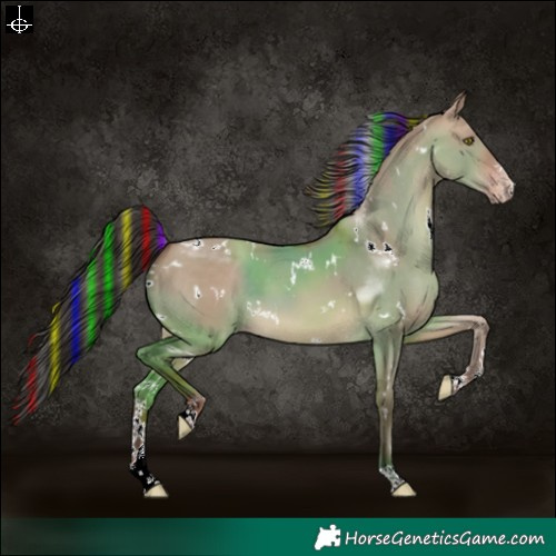 Horse Color:Painted White Spotted Sable Champagne Dun Sabino 