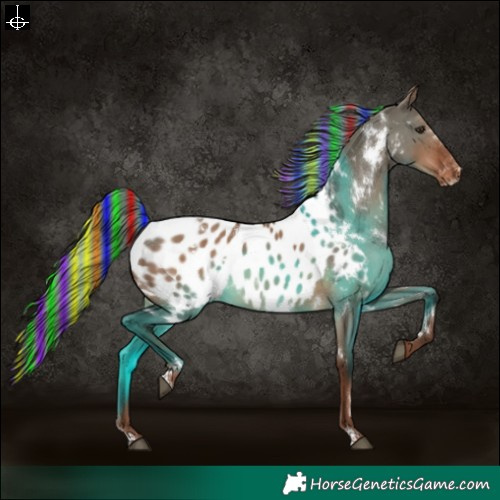 Horse Color:Painted White Spotted Liver Red Dun Near Leopard 