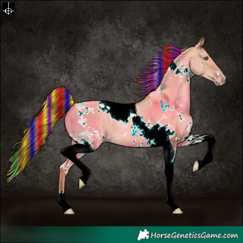 Horse Color:Painted White Spotted Gold Champagne Dun Tobiano 