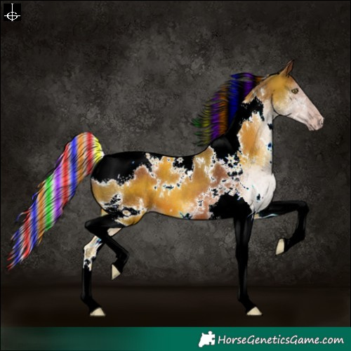 Horse Color:Gray Painted White Spotted Silver Sable Champagne Tobiano 