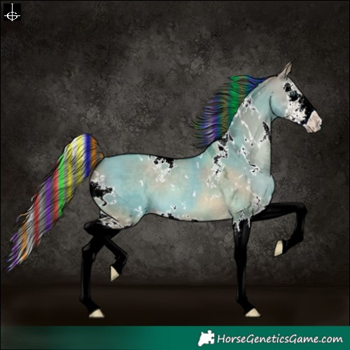 Horse Color:Painted White Spotted Sable Champagne Dun Splash 