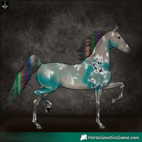 Horse Color:Painted White Spotted Grullo Rabicano 