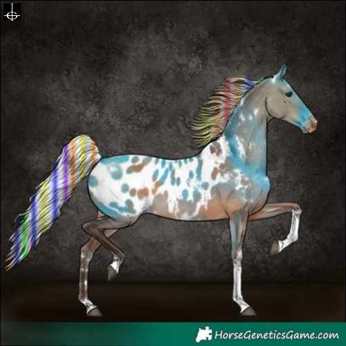 Horse Color:Painted White Spotted Silver Brown Dun Tobiano Near Leopard 
