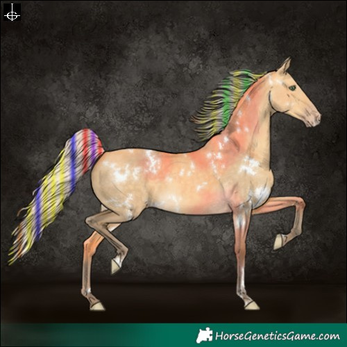 Horse Color:Painted White Spotted Silver Sable Cream Champagne Dun 