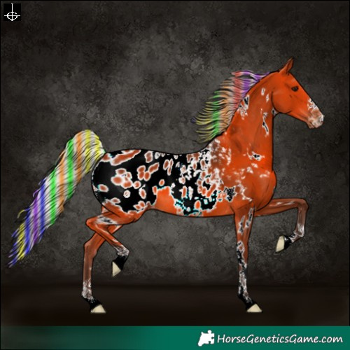 Horse Color:Painted White Spotted Silver Bay Appaloosa 