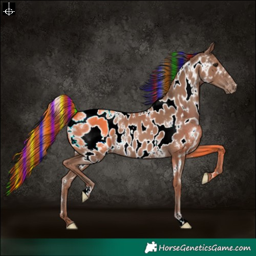 Horse Color:Painted White Spotted Classic Champagne Appaloosa 
