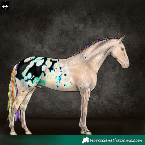 Horse Color:Painted White Spotted Silver Amber Champagne Ice Appaloosa 